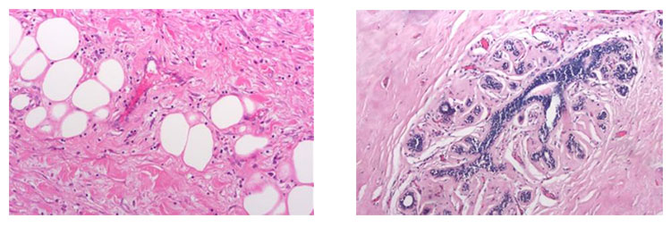 顯微鏡相機(jī)MV-6T 1600萬(wàn)超高分辨率顯微數(shù)碼相機(jī) 64M內(nèi)存